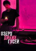  Озеро диких гусей смотреть онлайн (2019) 