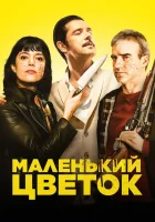  Маленький цветок смотреть онлайн (2020) бесплатно в HD