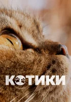  Котики смотреть онлайн (2022) 