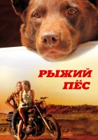  Рыжий пес смотреть онлайн (2011) 