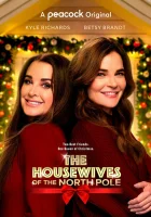  Домохозяйки Норт Пола смотреть онлайн (2021) 