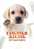  Собачья жизнь: Друзья навек смотреть онлайн (2023) 