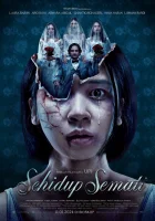  Пока смерть не разлучит смотреть онлайн (2024) 