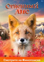  Огненный лис смотреть онлайн (2024) 