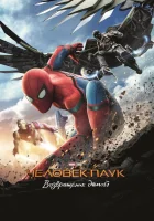  Человек-паук: Возвращение домой смотреть онлайн (2017) 