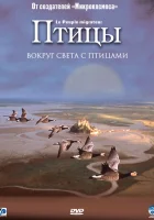  Птицы смотреть онлайн (2001) 