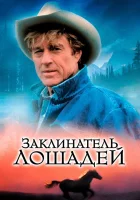 Заклинатель лошадей смотреть онлайн (1998) 