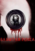  Забытая роща смотреть онлайн (2014) 