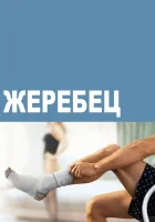  Жеребец смотреть онлайн сериал 1-3 сезон 