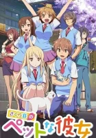  Кошечка из Сакурасо смотреть онлайн The Pet Girl of Sakurasou аниме сериал 1 сезон 